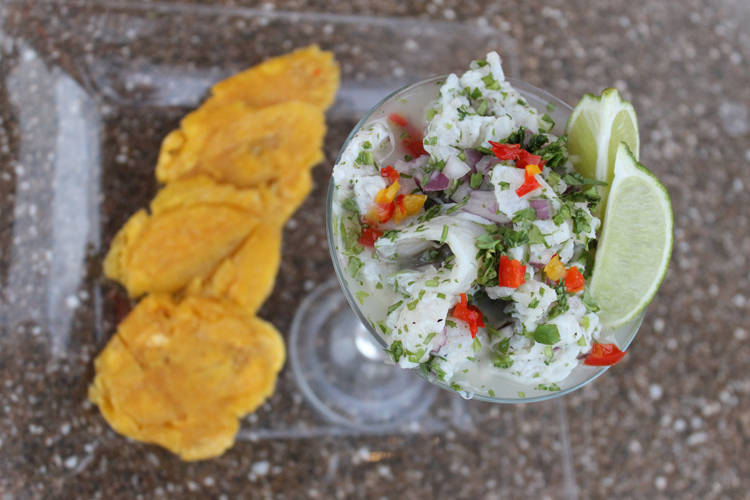 Música y sabor en Vega Alta Sal.pr